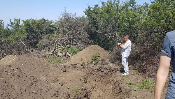 В Крыму вандалы разграбили могилы времен ВОВ и срубили редкие деревья