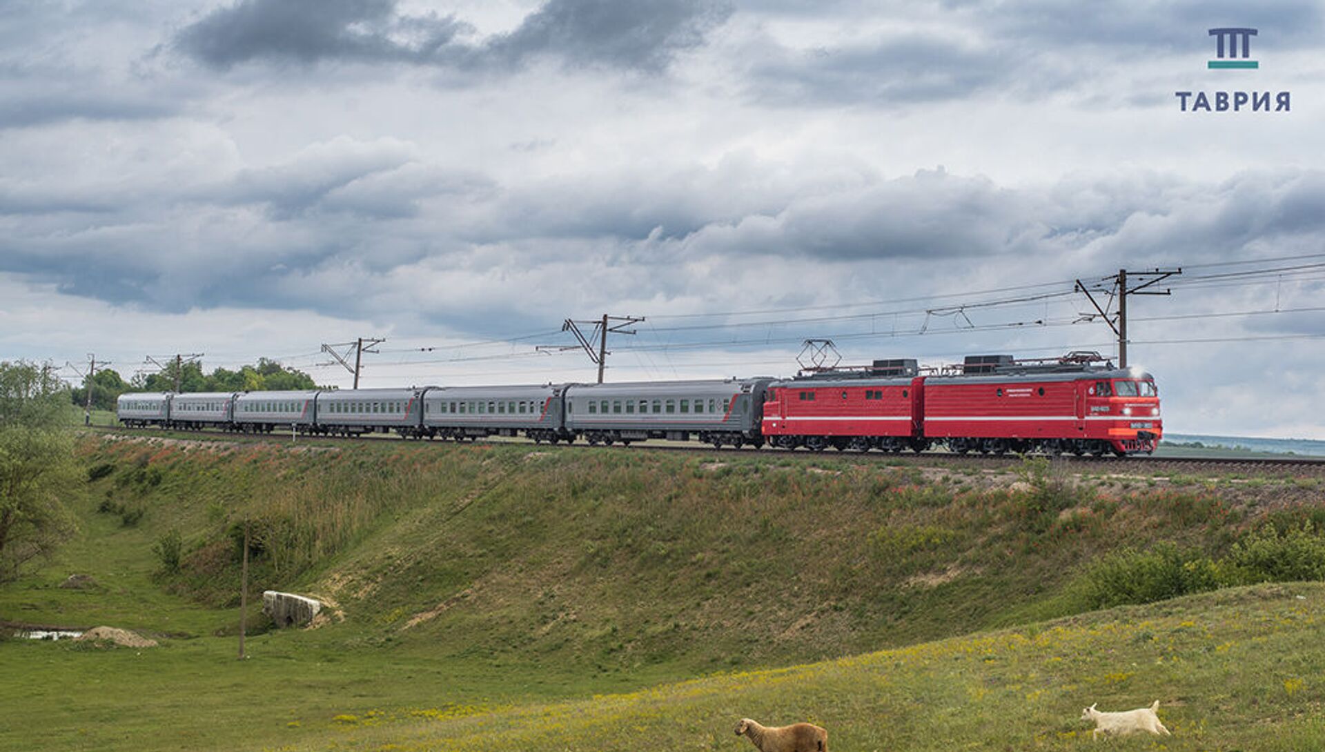 Мурманск ростов поезд