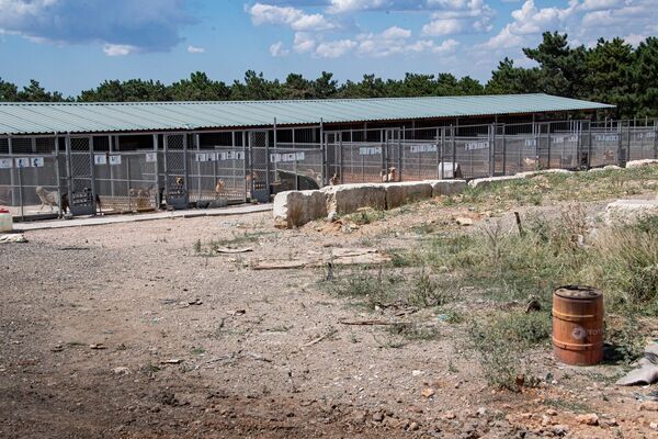В 2019 году в Симферополе должны были сдать первый государственный приют для животных, однако строительство застопорилось из-за недобросовестной работы подрядчика.
