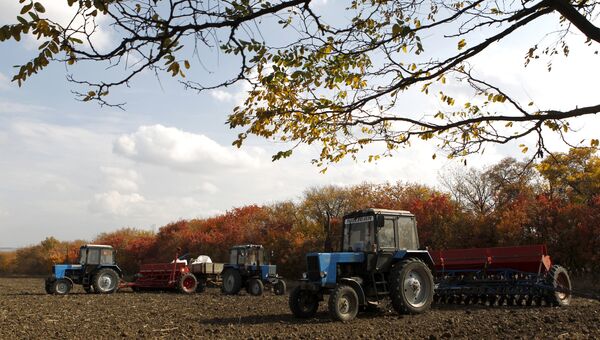 Депутат: бюрократия мешает аграриям Крыма арендовать пригодные земли