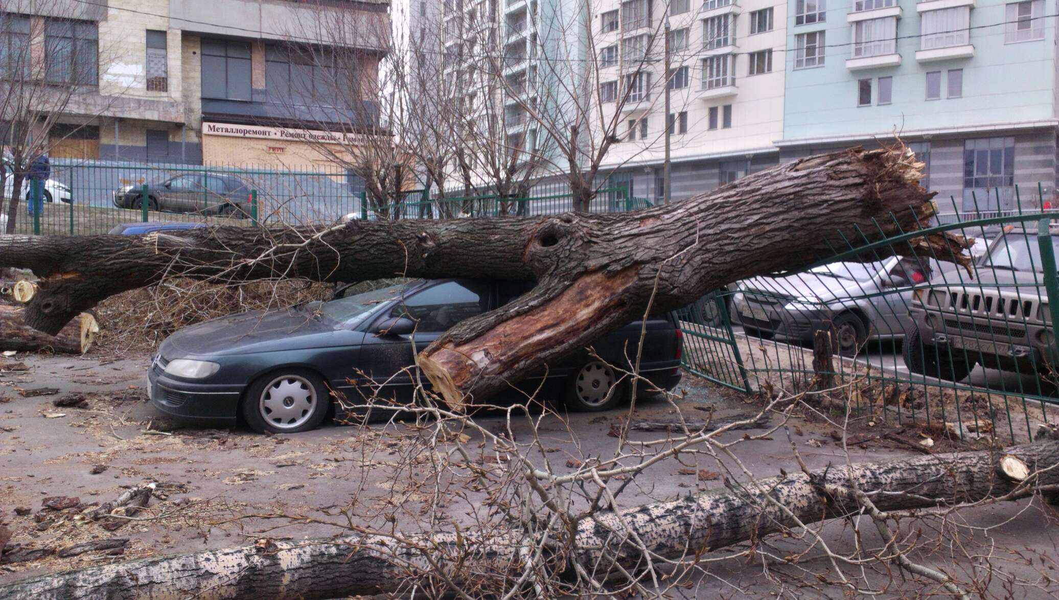 Где был сильный ветер. Ураган в Москве (2017). Измайлово ураган. Упавшие деревья в Москве. Упавшее дерево.